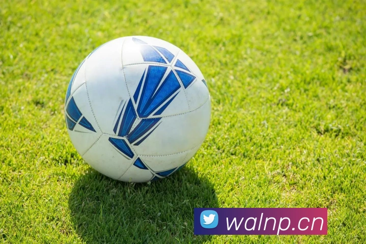 hth登录入口平台生态图